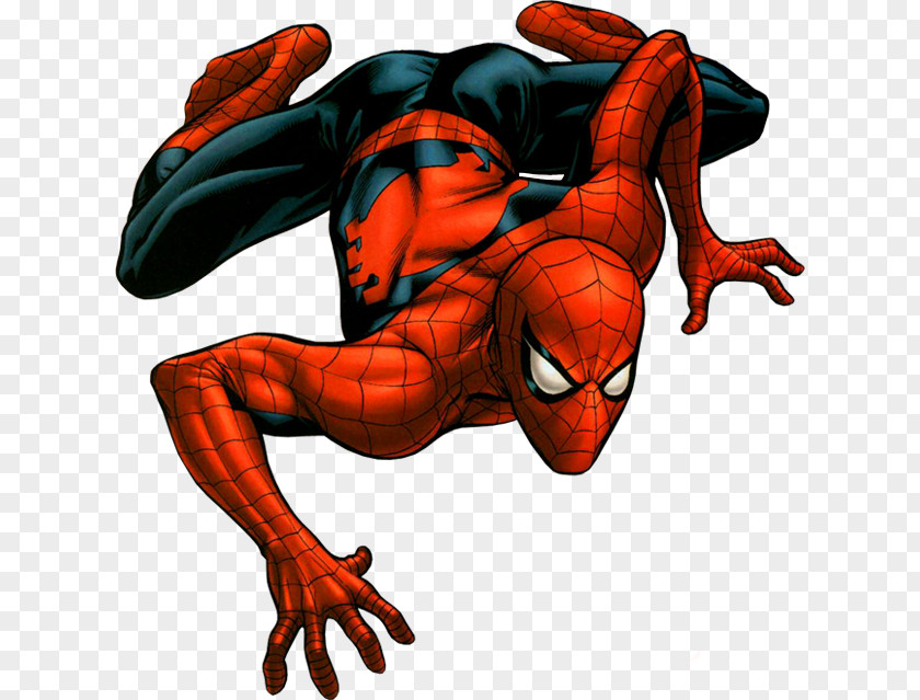 Homem Aranha Spider-Man Marvel Comics Universe Comic Book PNG