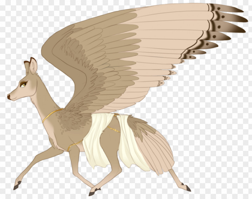 Kelpie Mammal Fauna Wildlife Character Tail PNG