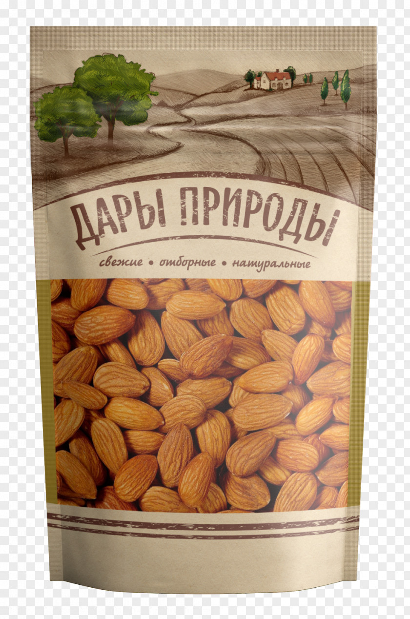 Saint Petersburg Nut Sunflower Seed Dried Fruit Moscow PNG