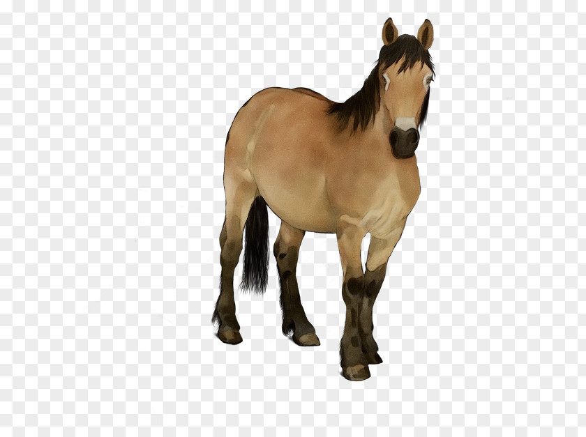 Toy Wildlife Mane Horse PNG