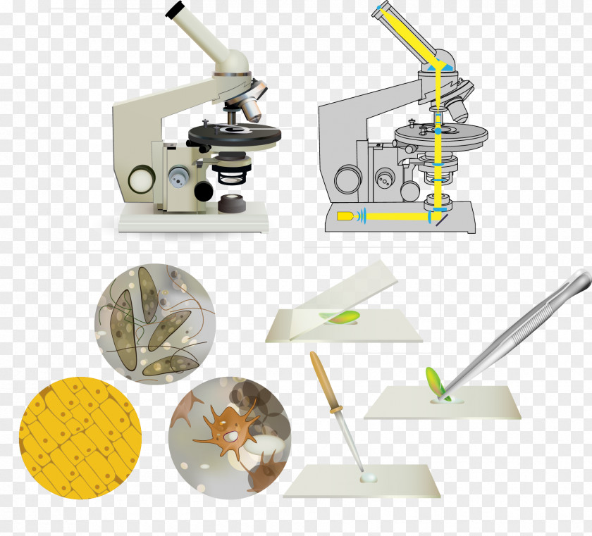 Vector Microscope Euclidean PNG