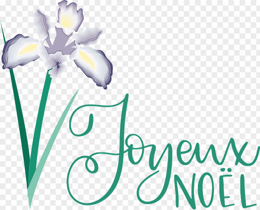 Floral Design PNG