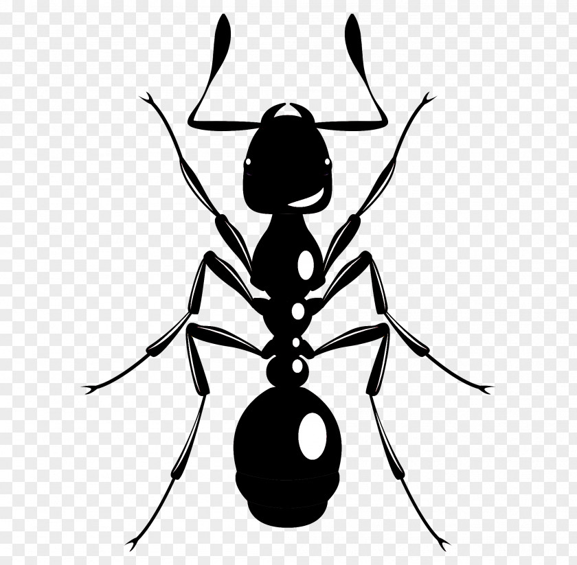 Membranewinged Insect Ant Pest Membrane-winged Clip Art PNG