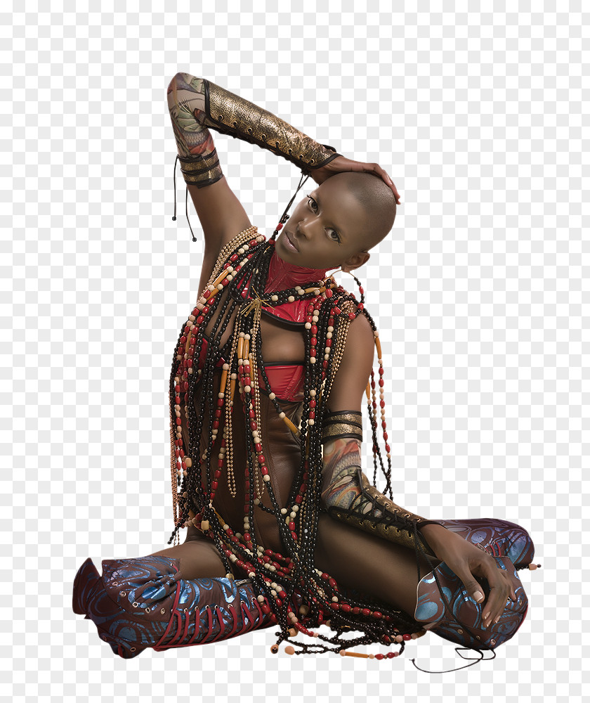 Tube African Art Woman 26.01.2018 PNG