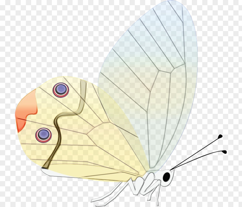 Wing Emperor Moths Butterfly Cartoon PNG