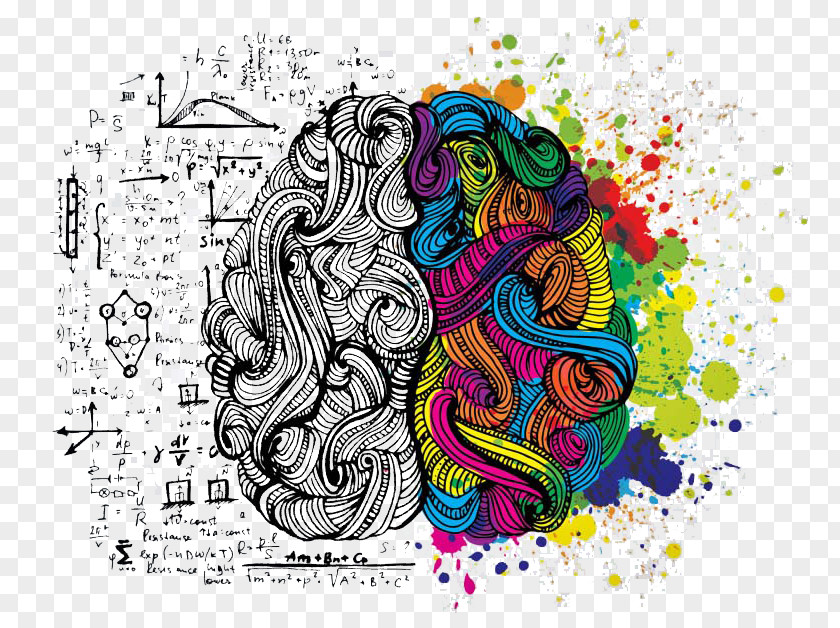 Brain Human Drawing Lateralization Of Function PNG
