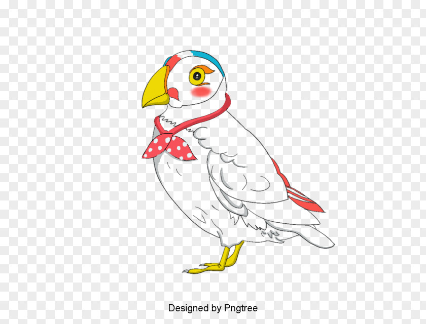 Chicken Bird Illustration Cartoon Graphics PNG