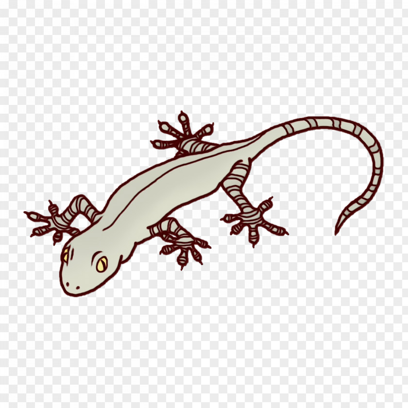 Gecko Lizard Biology Reptiles Science PNG