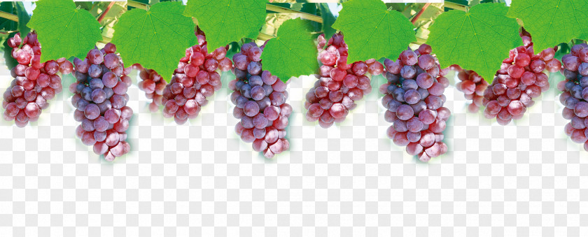 Grape Juice Computer File PNG