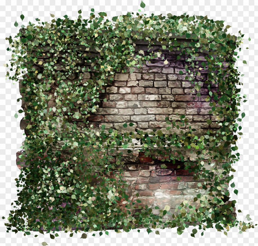 Hand Painted Walls Overgrown With Weeds PNG
