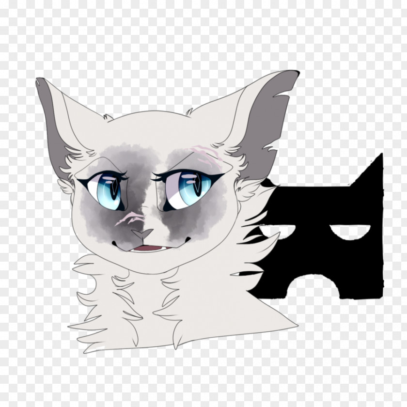 Kitten Whiskers Snout Paw PNG