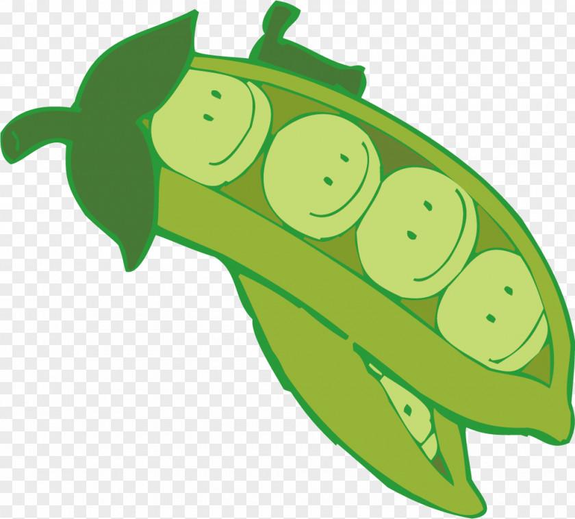 Pea Fruit Cartoon Bean PNG