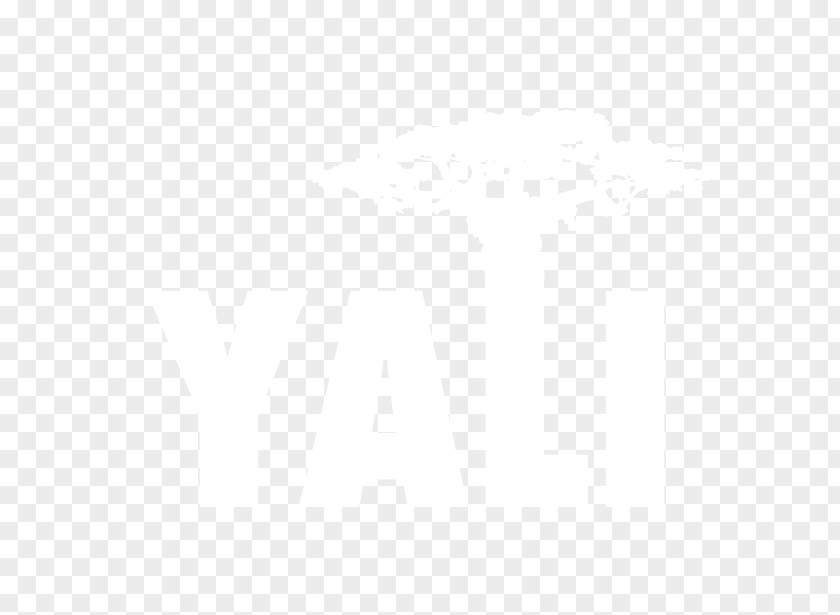 United States Logo Organization Industry Lyft PNG