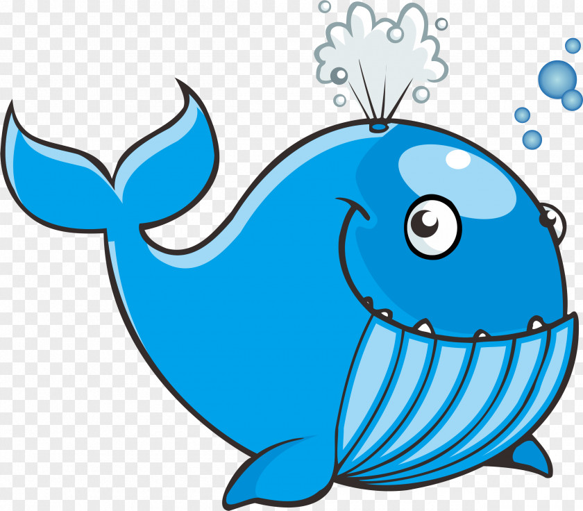 Whale Creative Right Whales Blue PNG