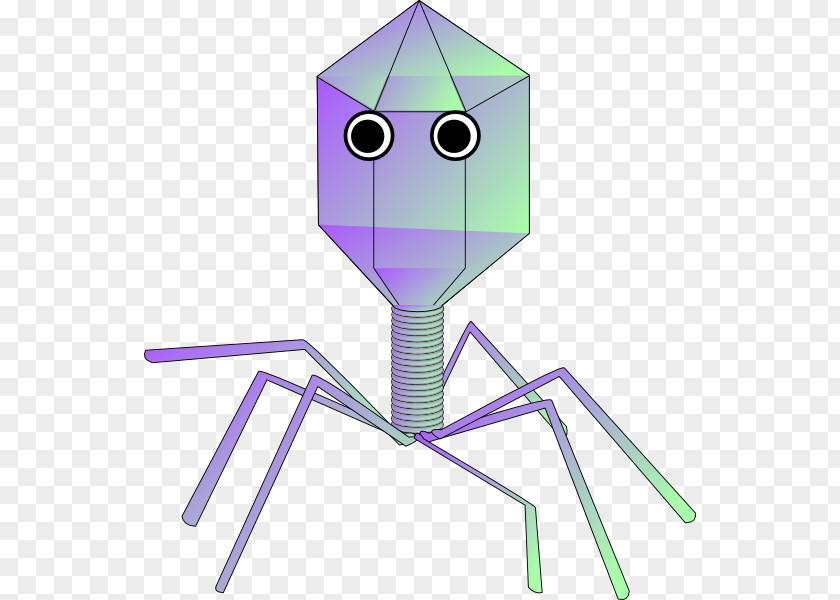 Biology Virus Viral Vector Bacteriophage Clip Art PNG