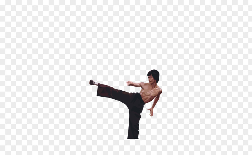 Bruce Lee T-shirt Kick Arm PNG