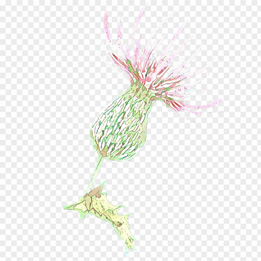 Pink Plant Flower Thistle PNG