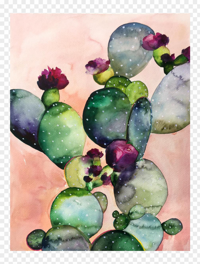 Watercolor Cactus Collection Paper Painting Art Printmaking PNG