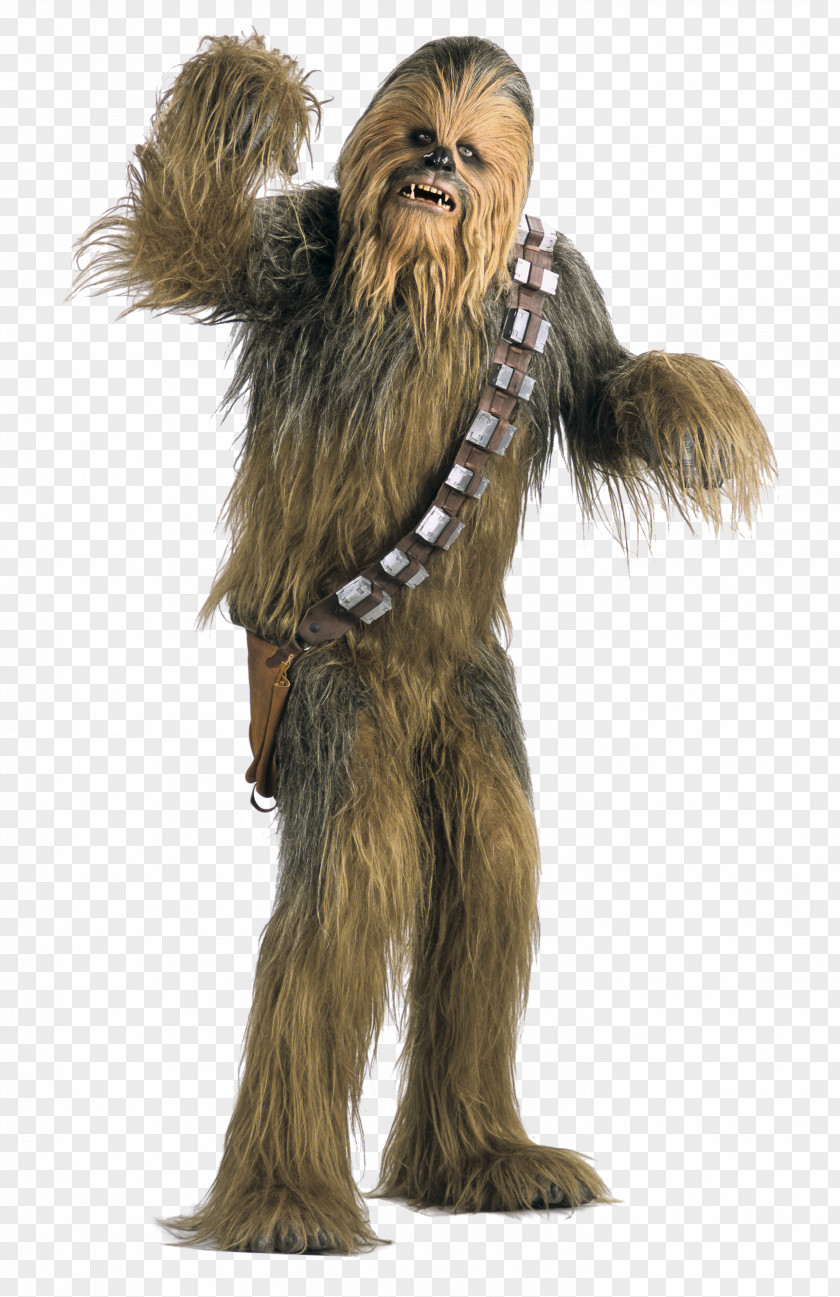 Youtube Chewbacca Han Solo Anakin Skywalker YouTube Wookiee PNG