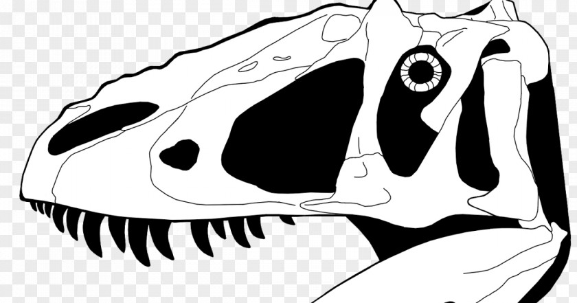 Drawing Yutyrannus Tyrannosaurus Spinosaurus Tianyulong Tyrannosauridae PNG