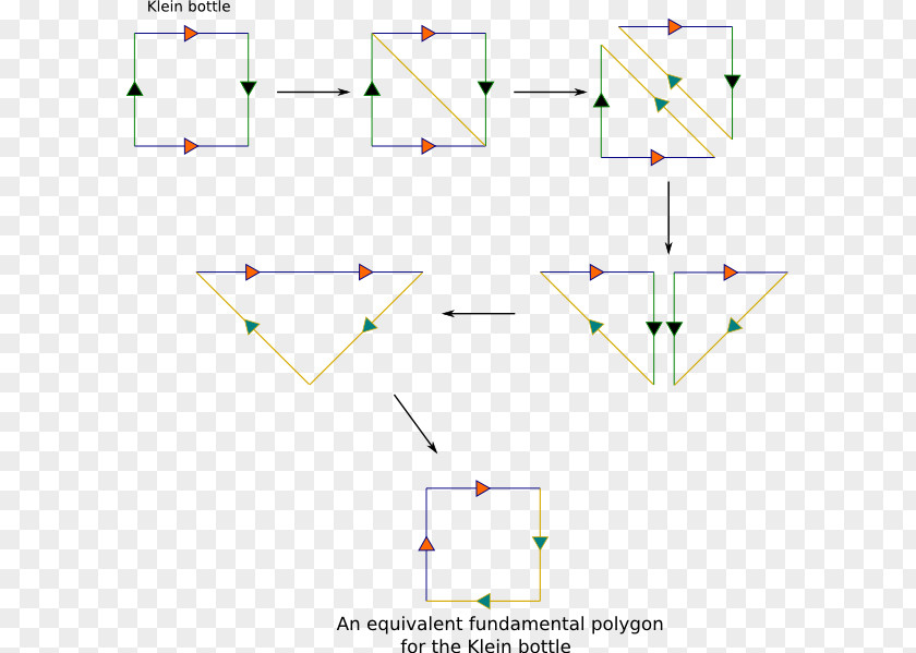 Line Angle Point Area Projective Plane PNG