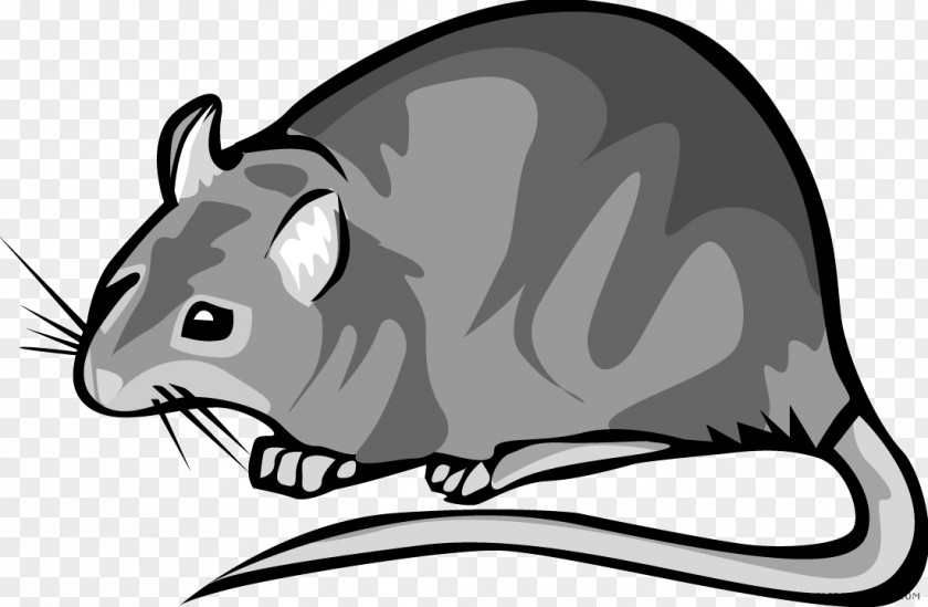 Rat Clip Art Royalty-free Free Content PNG