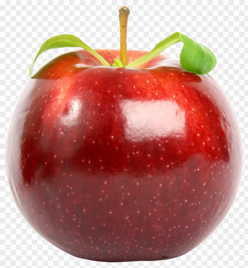 Red Apple With Leaf Stock Photography Clip Art PNG