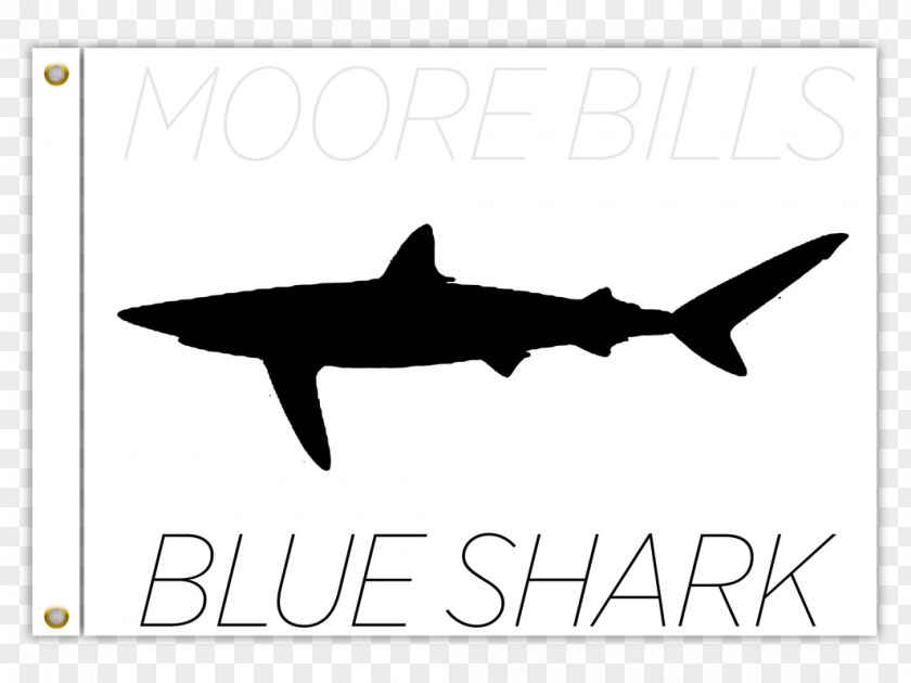 Shark Brand White Logo Clip Art PNG
