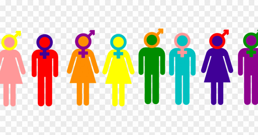 Gender Binary Equality Identity Symbol PNG