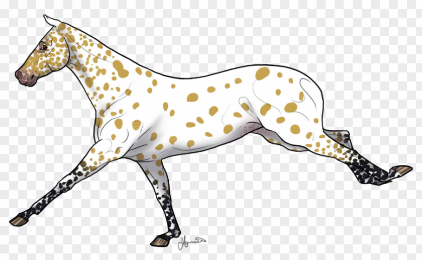 Horse Blanket Pattern Dog Breed Italian Greyhound Mustang Non-sporting Group PNG