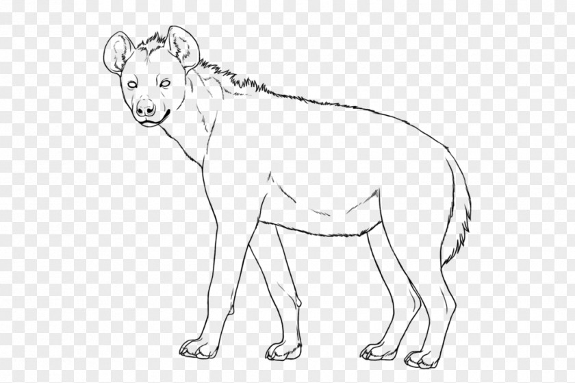 Lion Spotted Hyena Line Art Drawing PNG