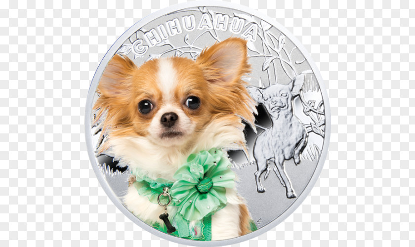 Mint Chihuahua Coin Cat Silver PNG