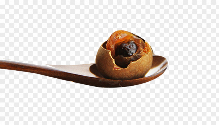 Spoon On The Longan Download PNG