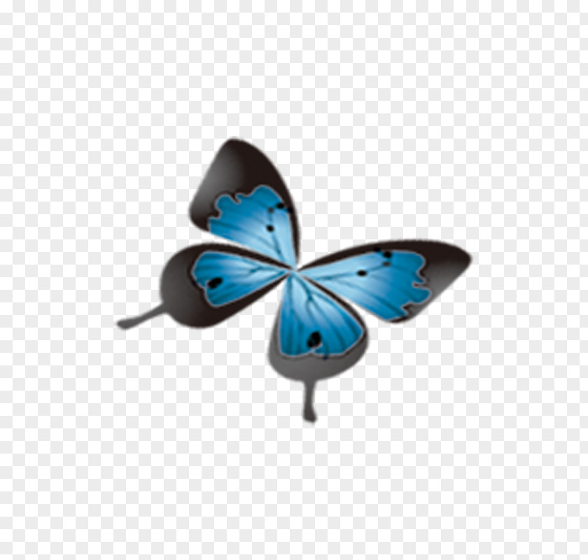 Butterfly Sky Blue Turquoise Game Fashion PNG