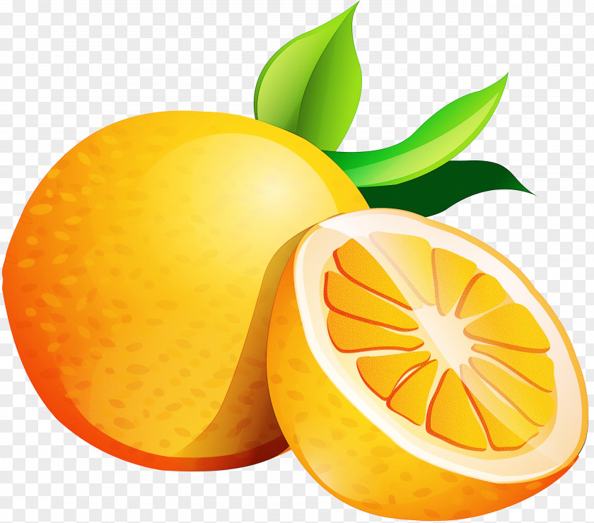 Orange PNG