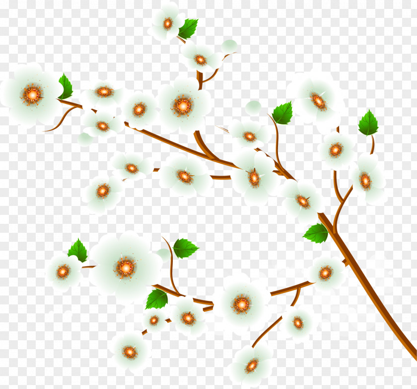 Organism Plant Stem Branch PNG