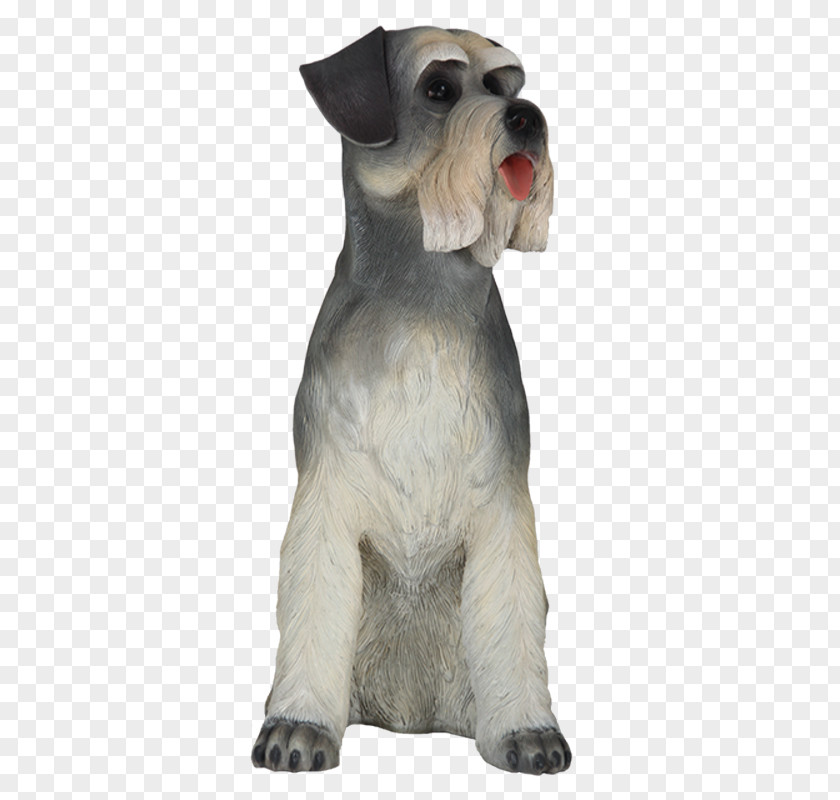 Schnauzer Miniature Dog Breed Companion Snout PNG