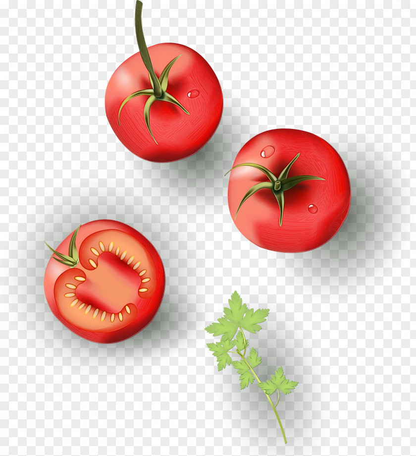 Vegetarian Food Vegan Nutrition Tomato Cartoon PNG