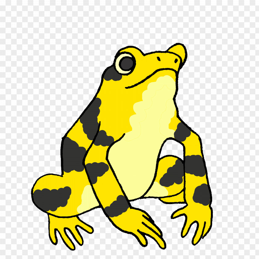 Frog True Amphibian Panamanian Golden Toad PNG