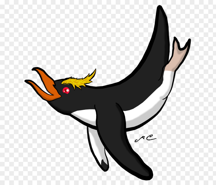 Goose Beak Cygnini Duck Clip Art PNG