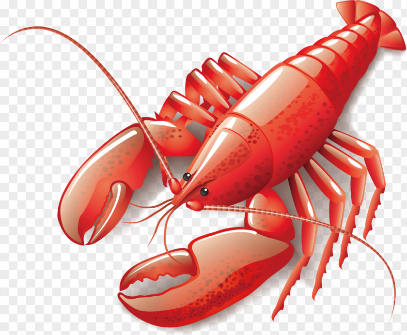 Lobster Seafood Cooking PNG , lobster clipart PNG