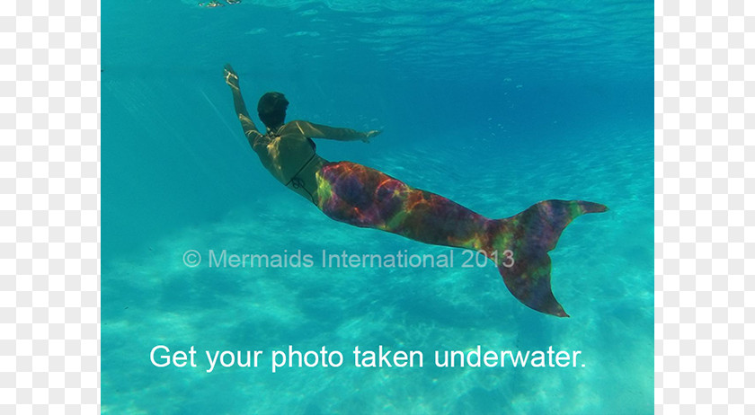 Mermaid Party Snorkeling Marine Mammal Sea Biology Underwater PNG