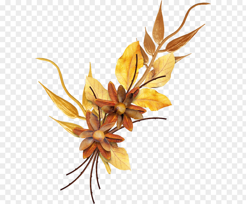 Autumn Clip Art PNG