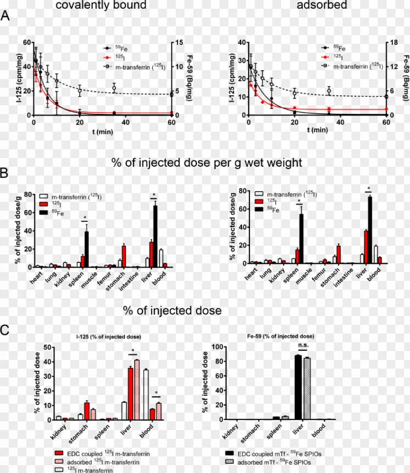 Bloodstain Pattern Analysis In Vivo Nanoparticle Vitro Protein Transferrin PNG