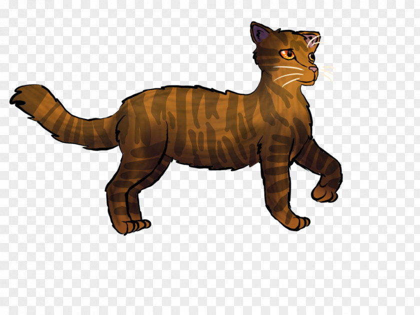 Cat Whiskers Wildcat Terrestrial Animal Wildlife PNG