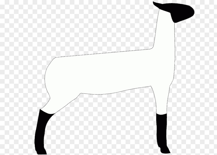 Club Lamb Dog Breed Cat Horse Mammal PNG