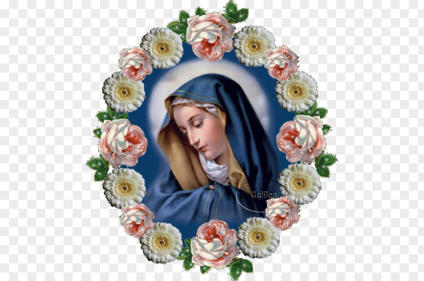 Mary Immaculate Heart Of Religious Art Religion PNG