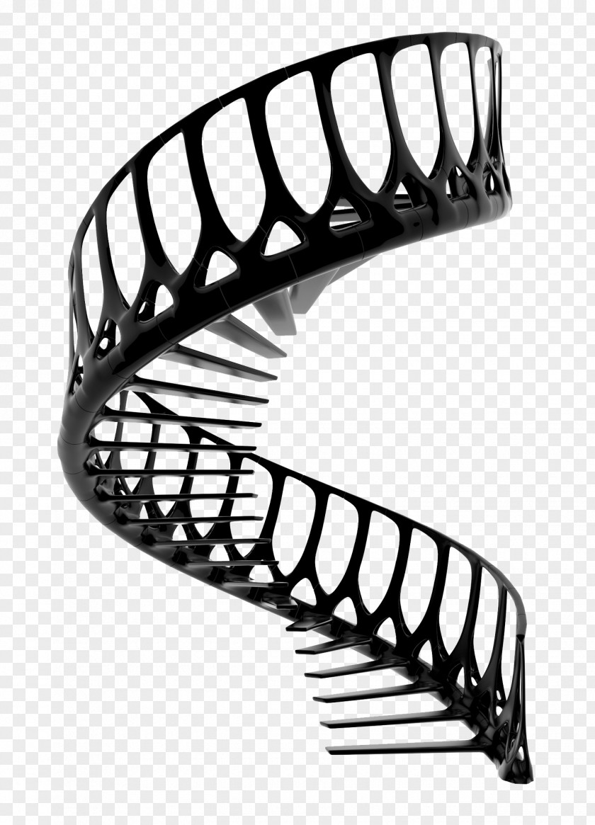 Staircases Kitchen Utensil Vertebral Column Design Spinal Cord PNG