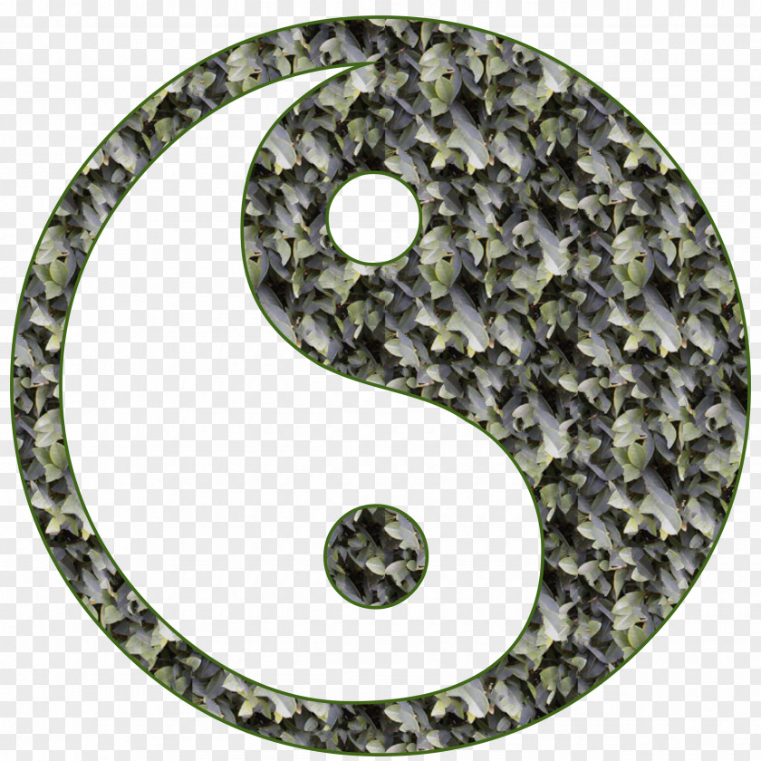 Yin Yang And Moxibustion Therapy Traditional Chinese Medicine Health PNG