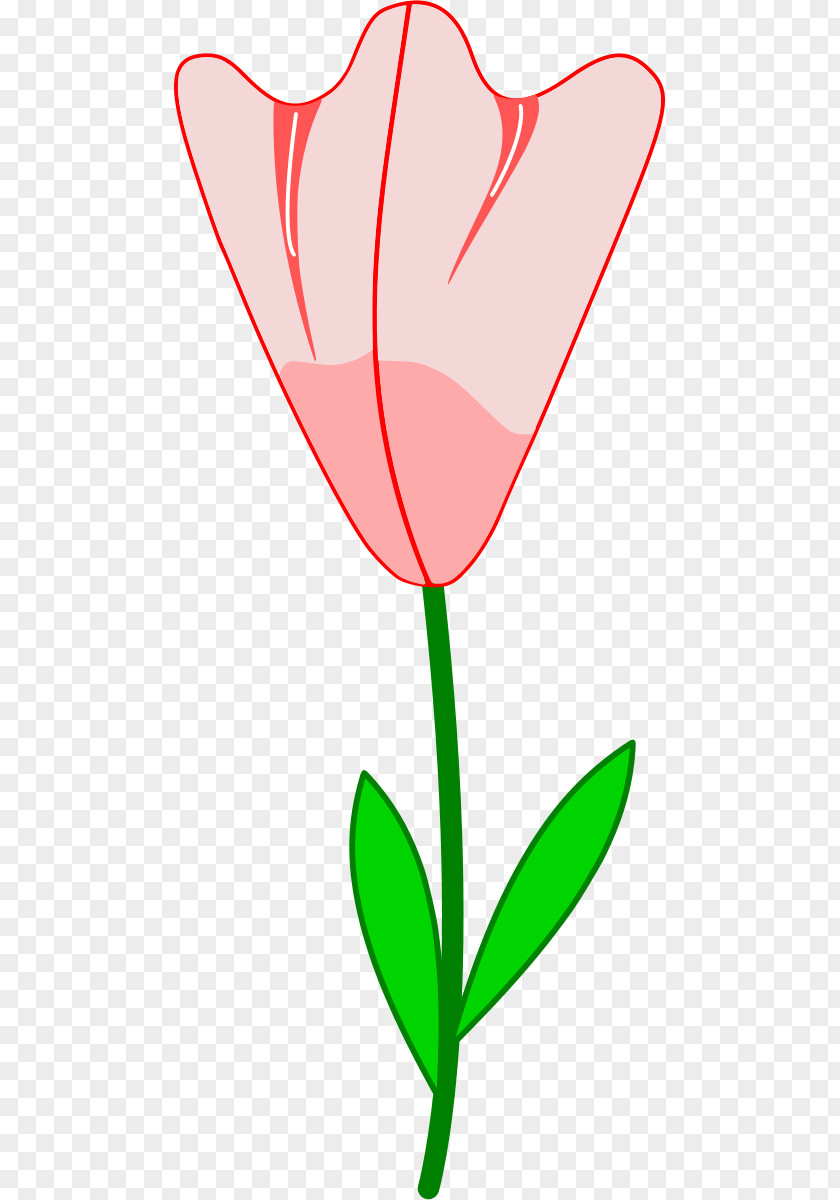 Magnolia Flower Painting Tulip Clip Art PNG